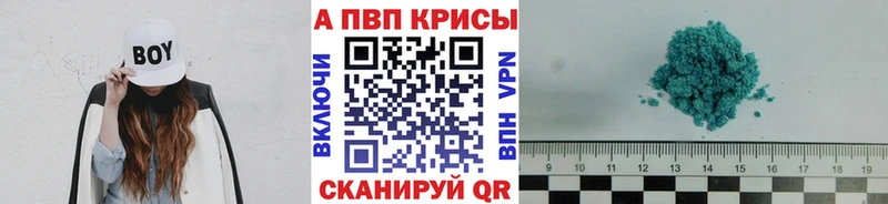 A PVP СК  Дальнегорск 