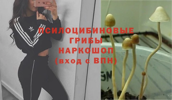 дистиллят марихуана Белокуриха