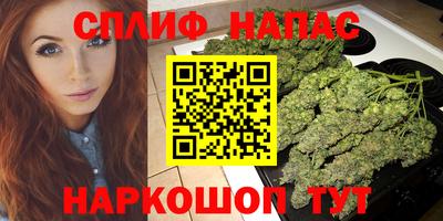 ECSTASY Моздок