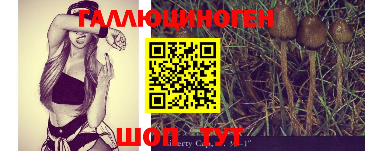 Псилоцибиновые грибы мухоморы Дальнегорск