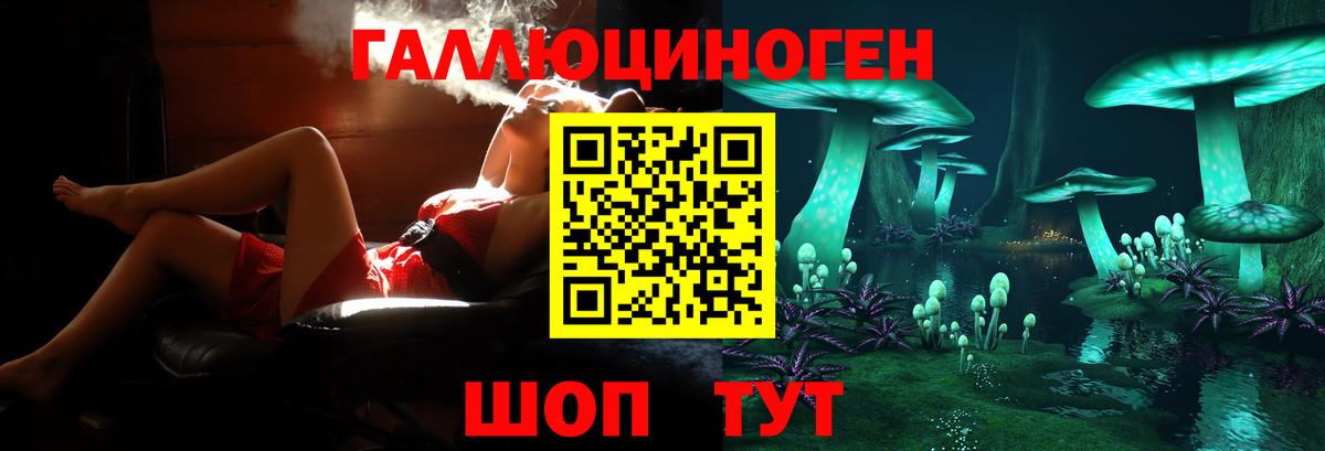 Галлюциногенные грибы Cubensis  Вход с VPN  наркота  Дальнегорск 