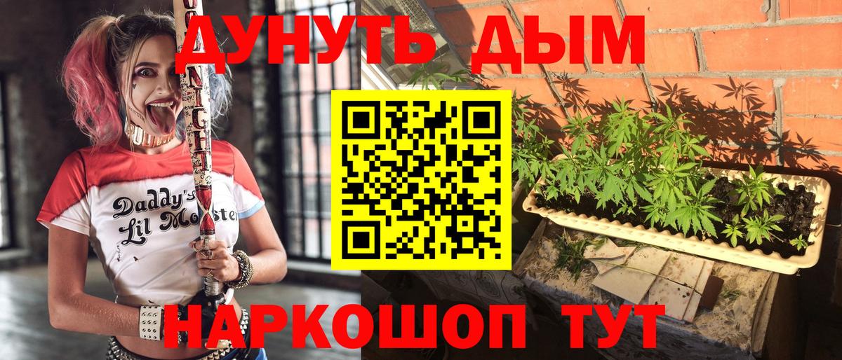 Бошки Шишки LSD WEED  МАРИХУАНА план  Дальнегорск  Вход с VPN  МАРИХУАНА White Widow 